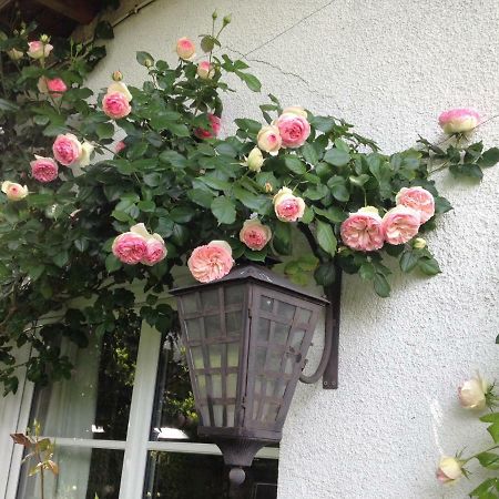Le Petit Val Rose Villa Villennes-sur-Seine Esterno foto