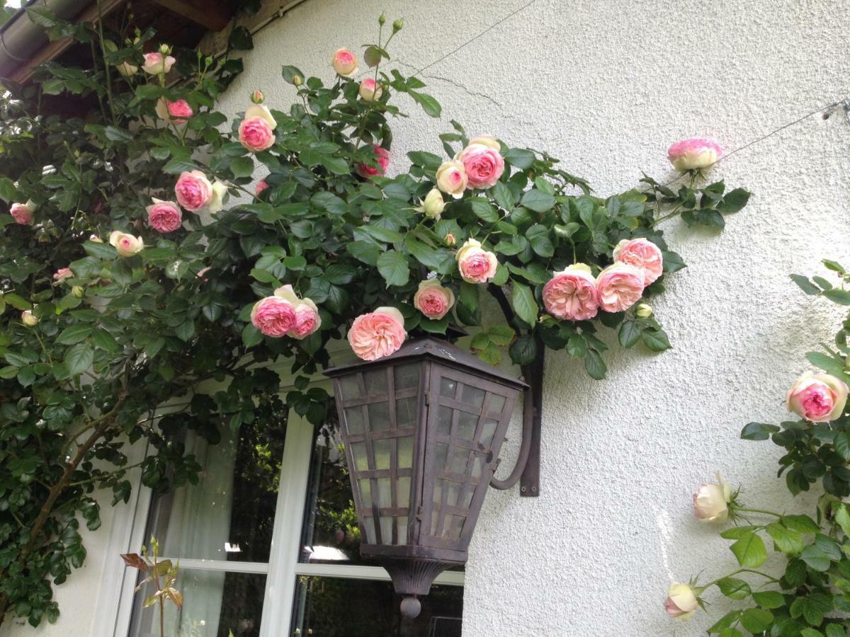Le Petit Val Rose Villa Villennes-sur-Seine Esterno foto