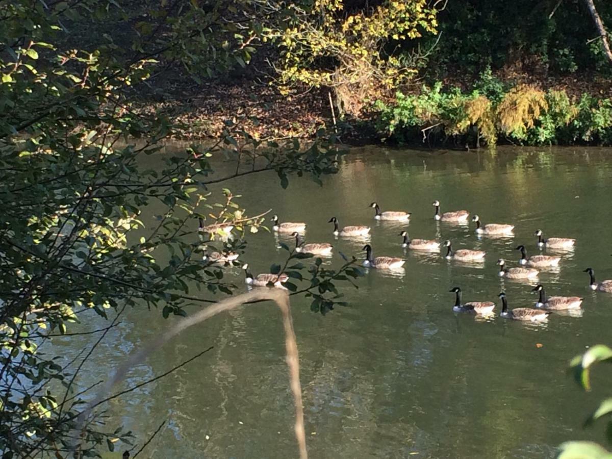 Le Petit Val Rose Villa Villennes-sur-Seine Esterno foto